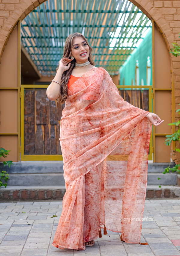 Organza Furr Saree With Sequence Lining