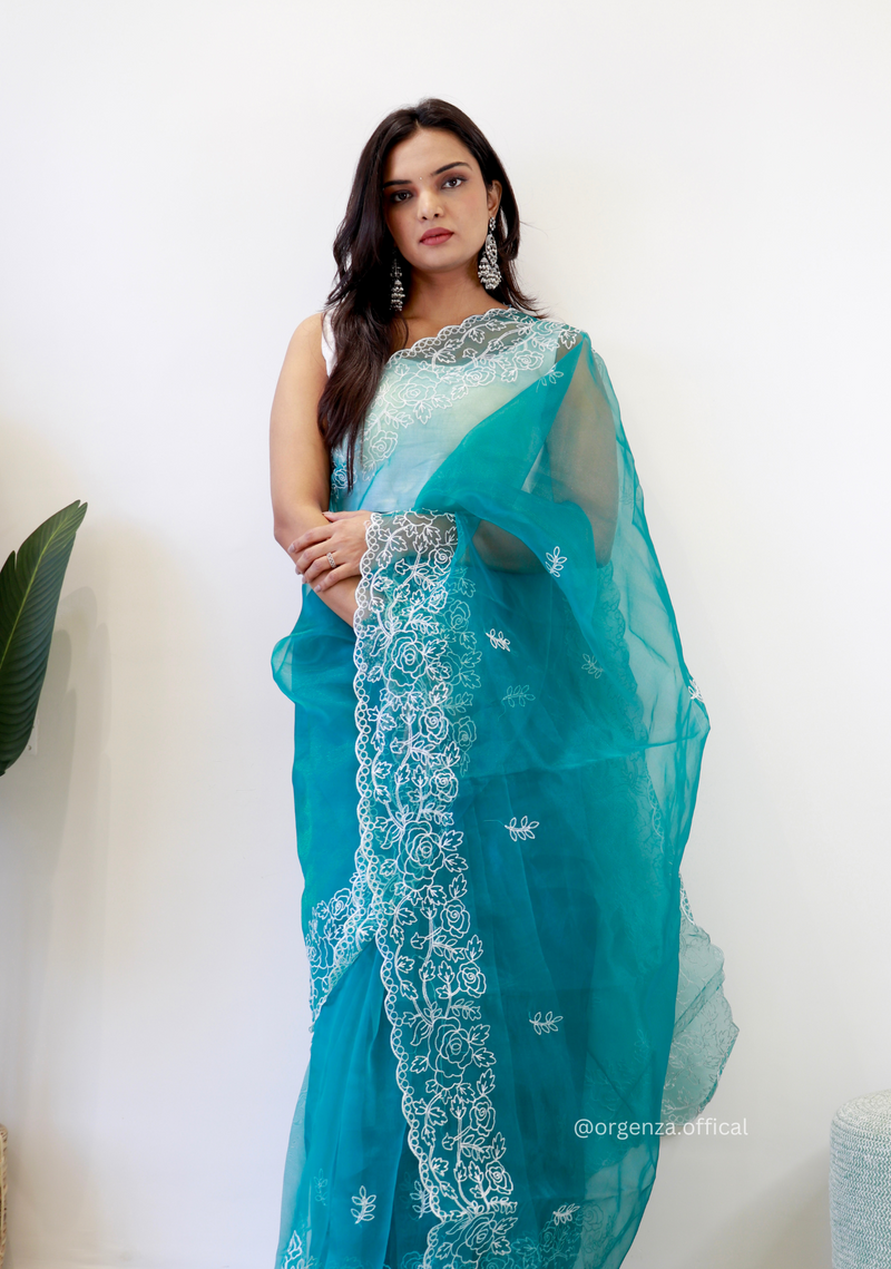 Sky Colour Embroidery Thread Work Saree