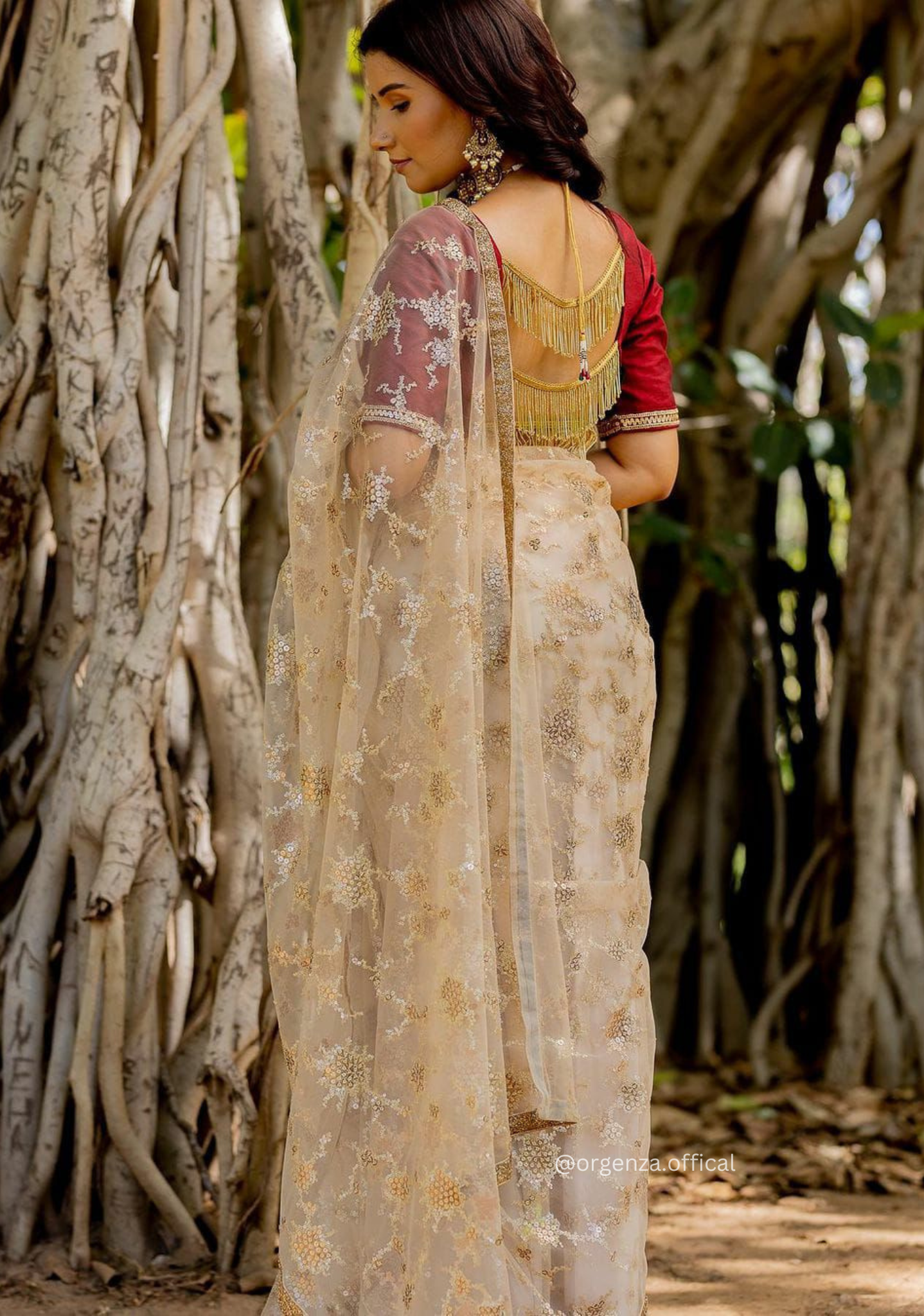 Cream Colour Mono Net Embroidery Work Saree