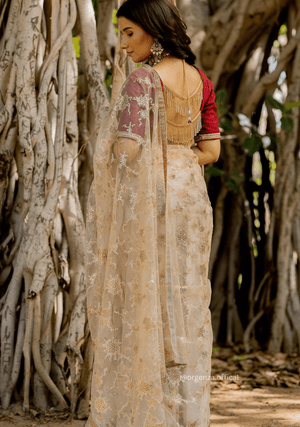 Cream Colour Mono Net Embroidery Work Saree - Orgenza Store - digisoch