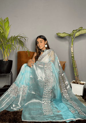 Organza Silk Saree With Weaving Border - Orgenza Store - digisoch
