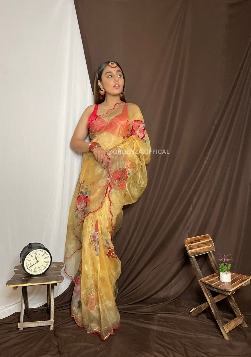 Organza Saree With Sequence Work And Printed Flower