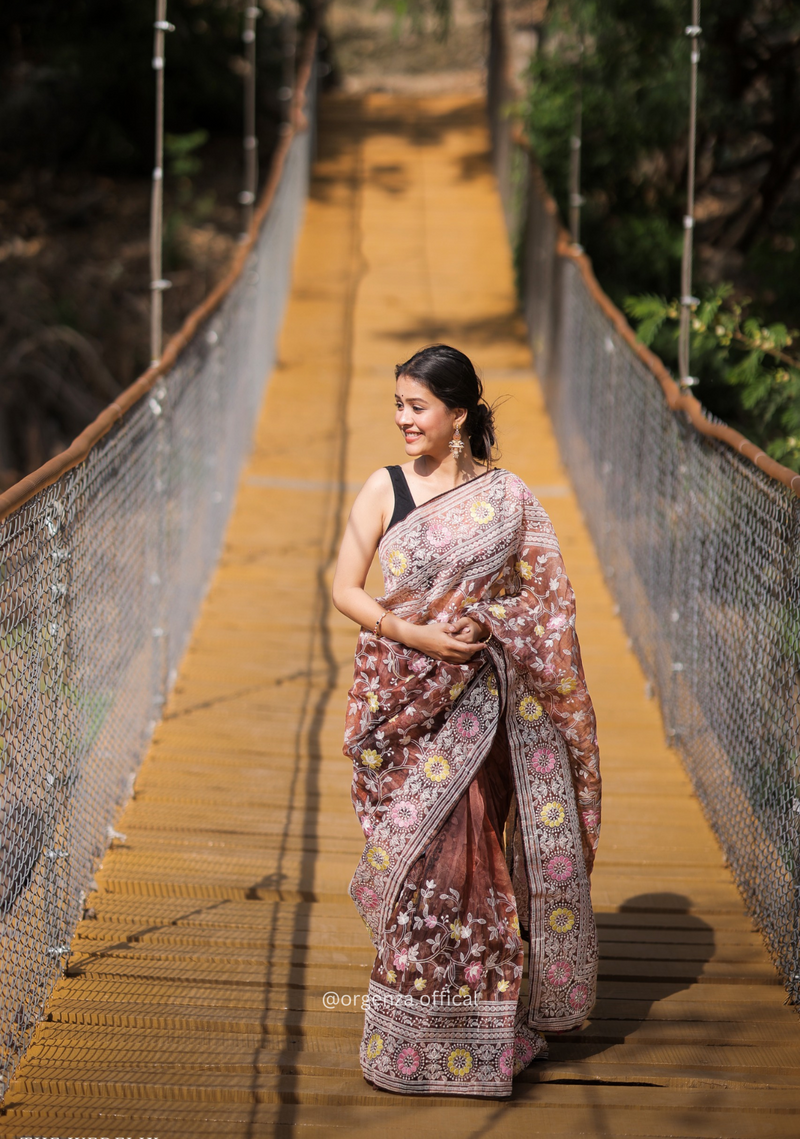 Organza Saree With Kashmiri Thread Work