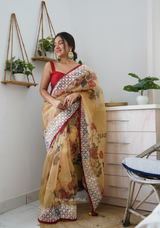 Multi Colour Organza Saree With Lucknowi Thread