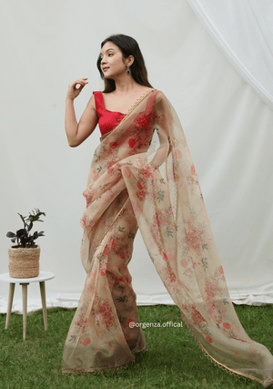 Pure Organza Saree With Heavy Lace Border - Orgenza Store - digisoch