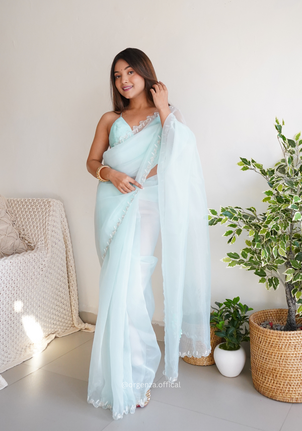Sky Organza With Jardoshi And Khatli Work
