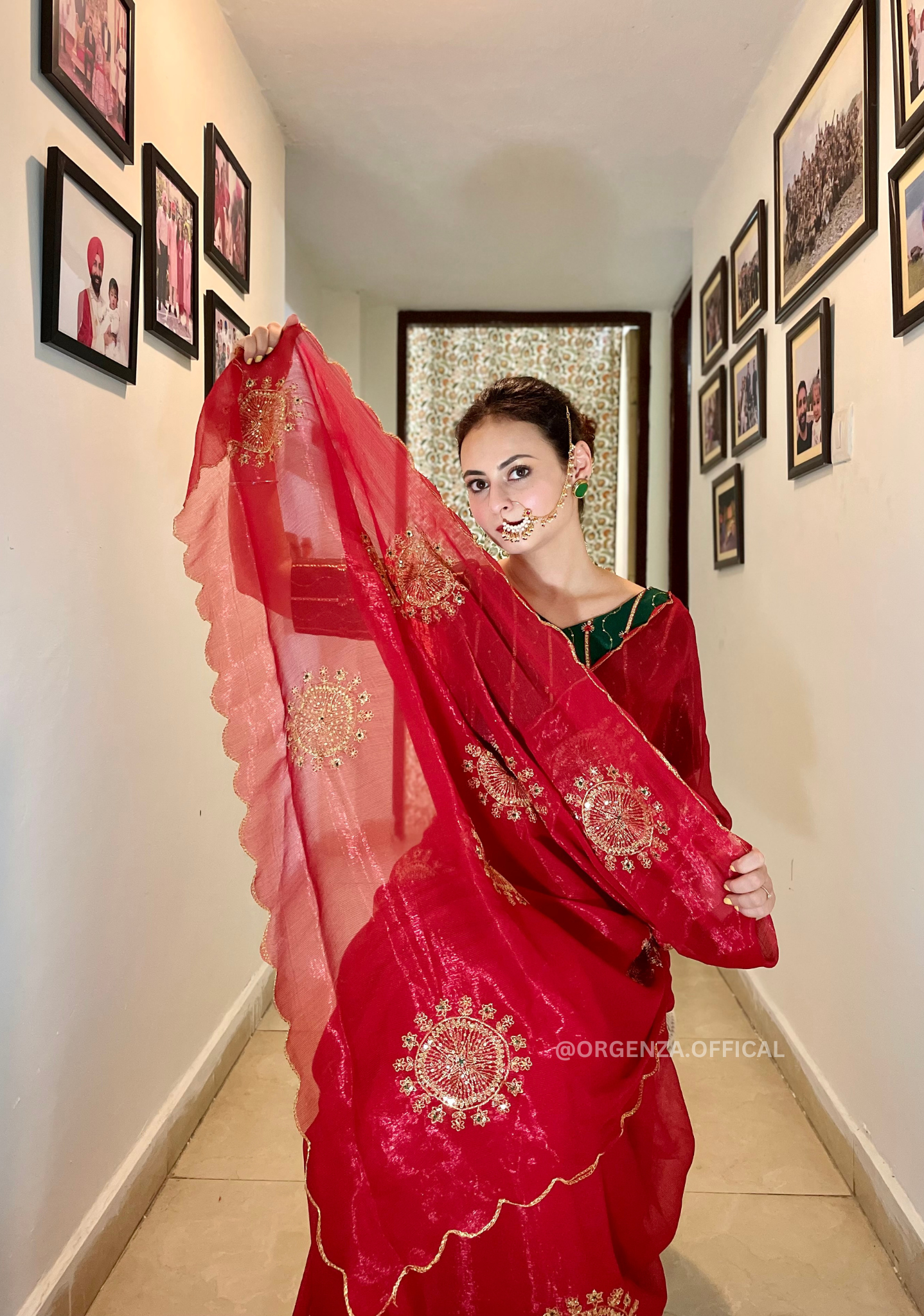 Pure Chiffon Zari Silk Saree With Embroidery Work
