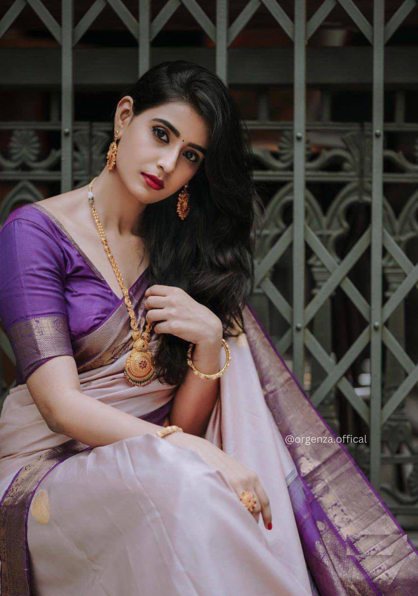 Rich Pallu Jacquard Zari Work