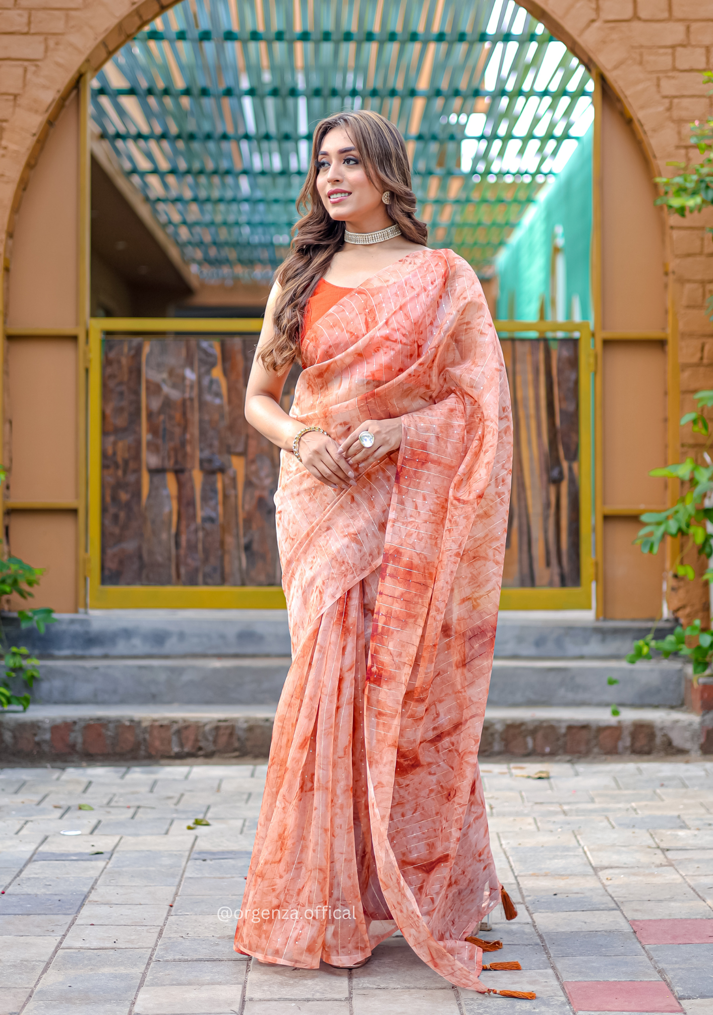Organza Furr Saree With Sequence Lining - Orgenza Store