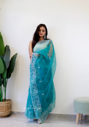 Sky Colour Embroidery Thread Work Saree - Orgenza Store