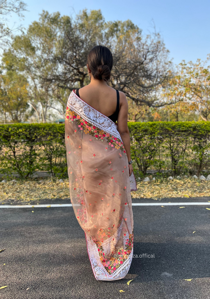 Brown Color Organza Saree With Chikankari Work - Orgenza Store