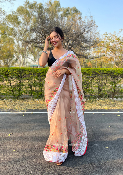 Brown Color Organza Saree With Chikankari Work - Orgenza Store