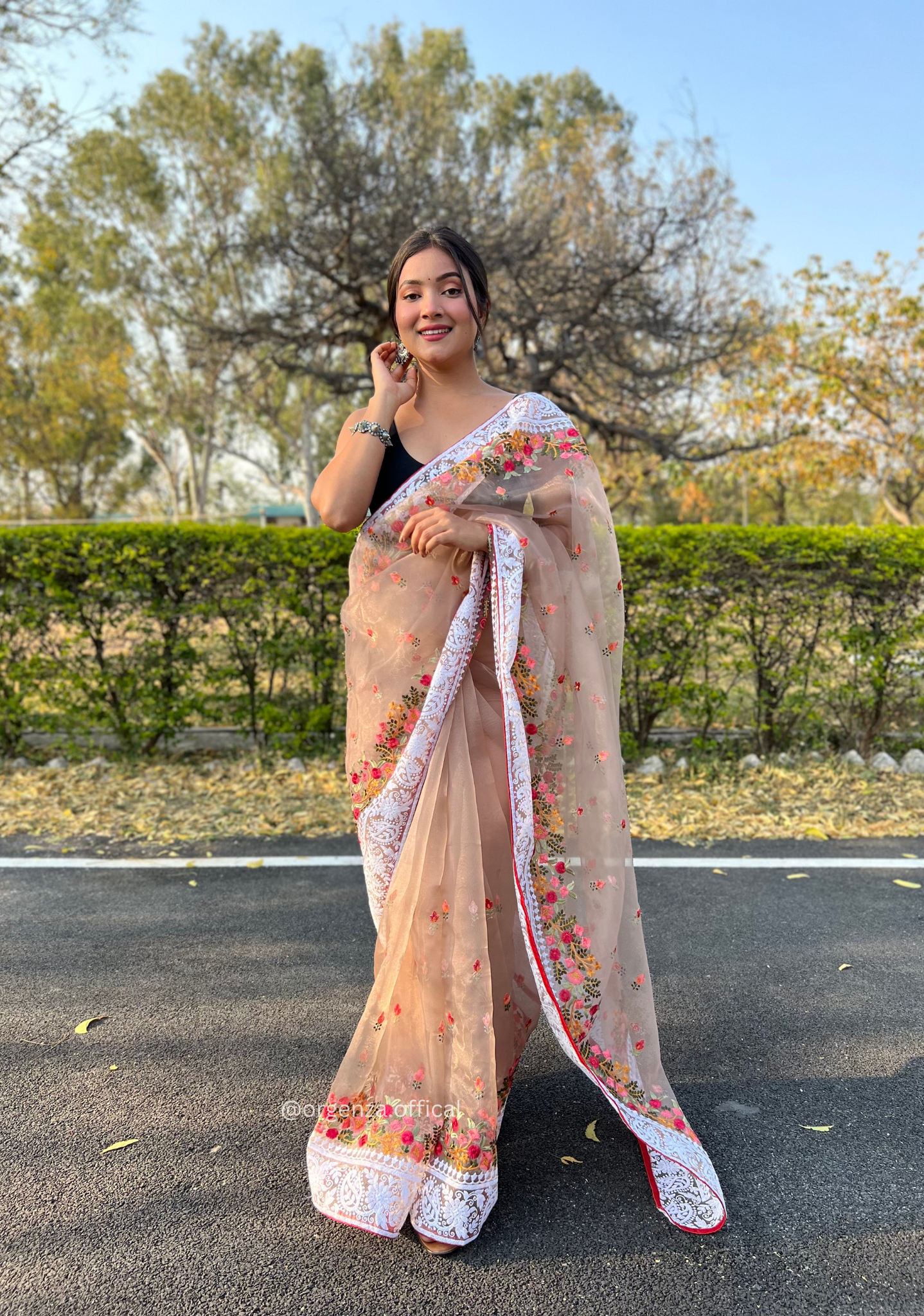 Brown Color Organza Saree With Chikankari Work - Orgenza Store