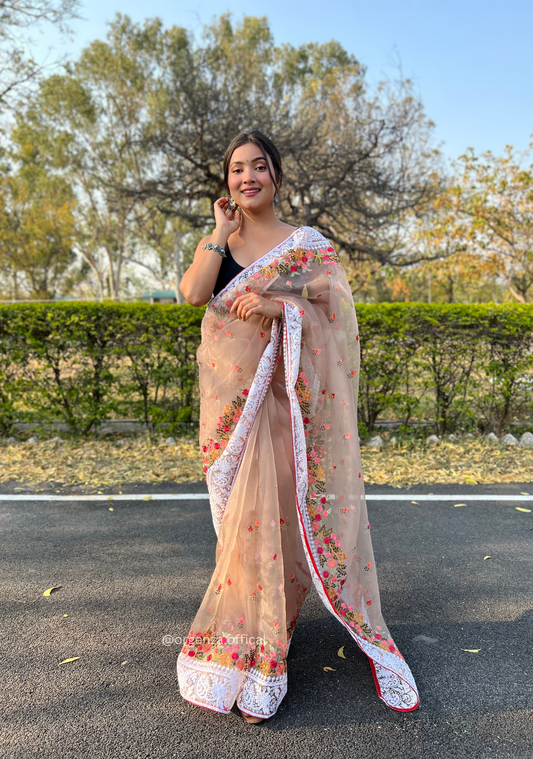 Brown Color Organza Saree With Chikankari Work - Orgenza Store