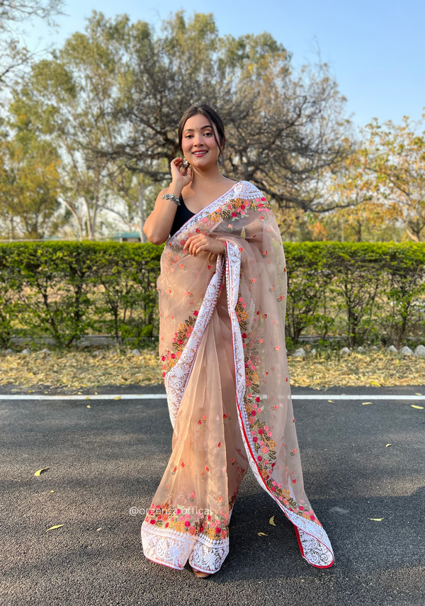 Brown Color Organza Saree With Chikankari Work