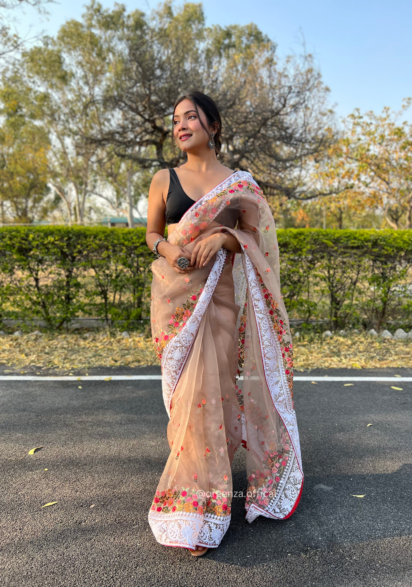 Brown Color Organza Saree With Chikankari Work - Orgenza Store