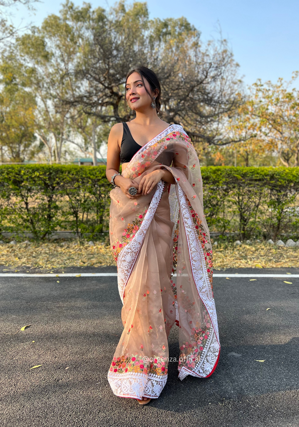 Brown Color Organza Saree With Chikankari Work