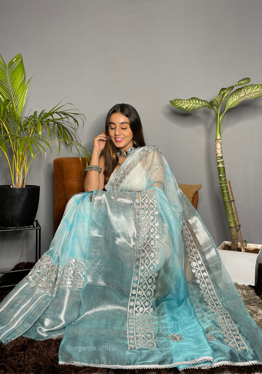 Organza Silk Saree With Weaving Border - Orgenza Store