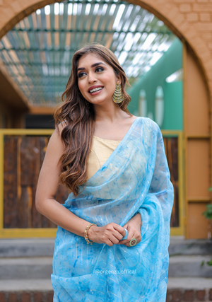 Organza Furr Saree With Sequence Lining - Orgenza Store - digisoch