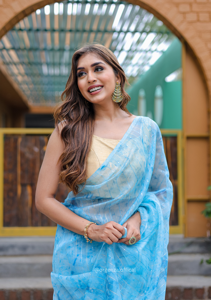 Organza Furr Saree With Sequence Lining - Orgenza Store