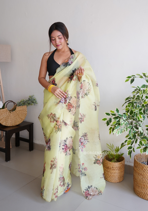 Pure Organza Saree With Handwork - Orgenza Store