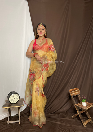 Organza Saree With Sequence Work And Printed Flower - Orgenza Store