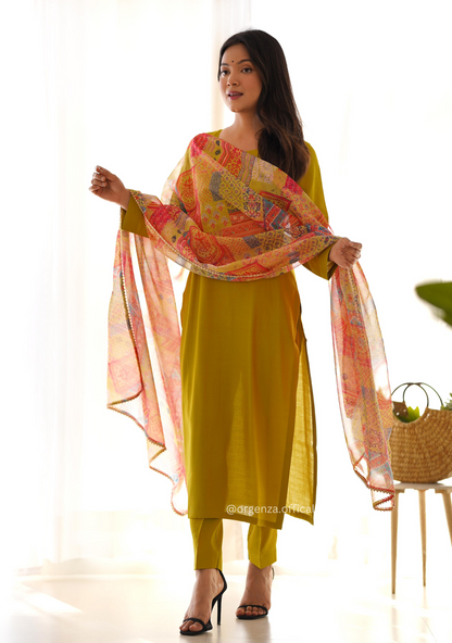 Viscose Fabric Straight Fit Kurta With Dupatta Set - Orgenza Store