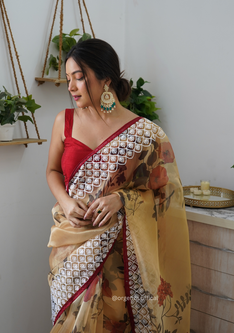 Multi Colour Organza Saree With Lucknowi Thread