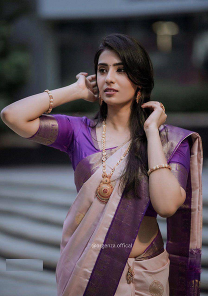 Rich Pallu Jacquard Zari Work