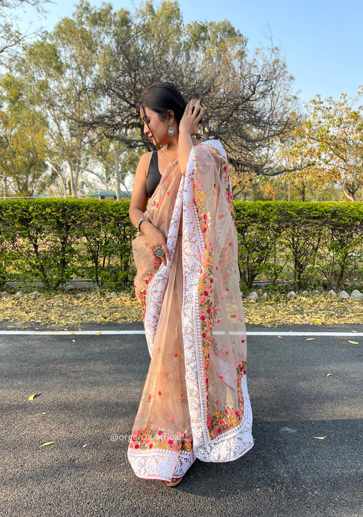 Brown Color Organza Saree With Chikankari Work - Orgenza Store
