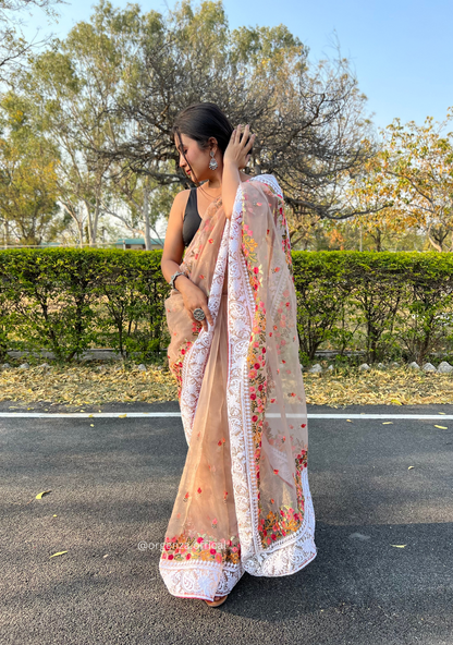 Brown Color Organza Saree With Chikankari Work - Orgenza Store