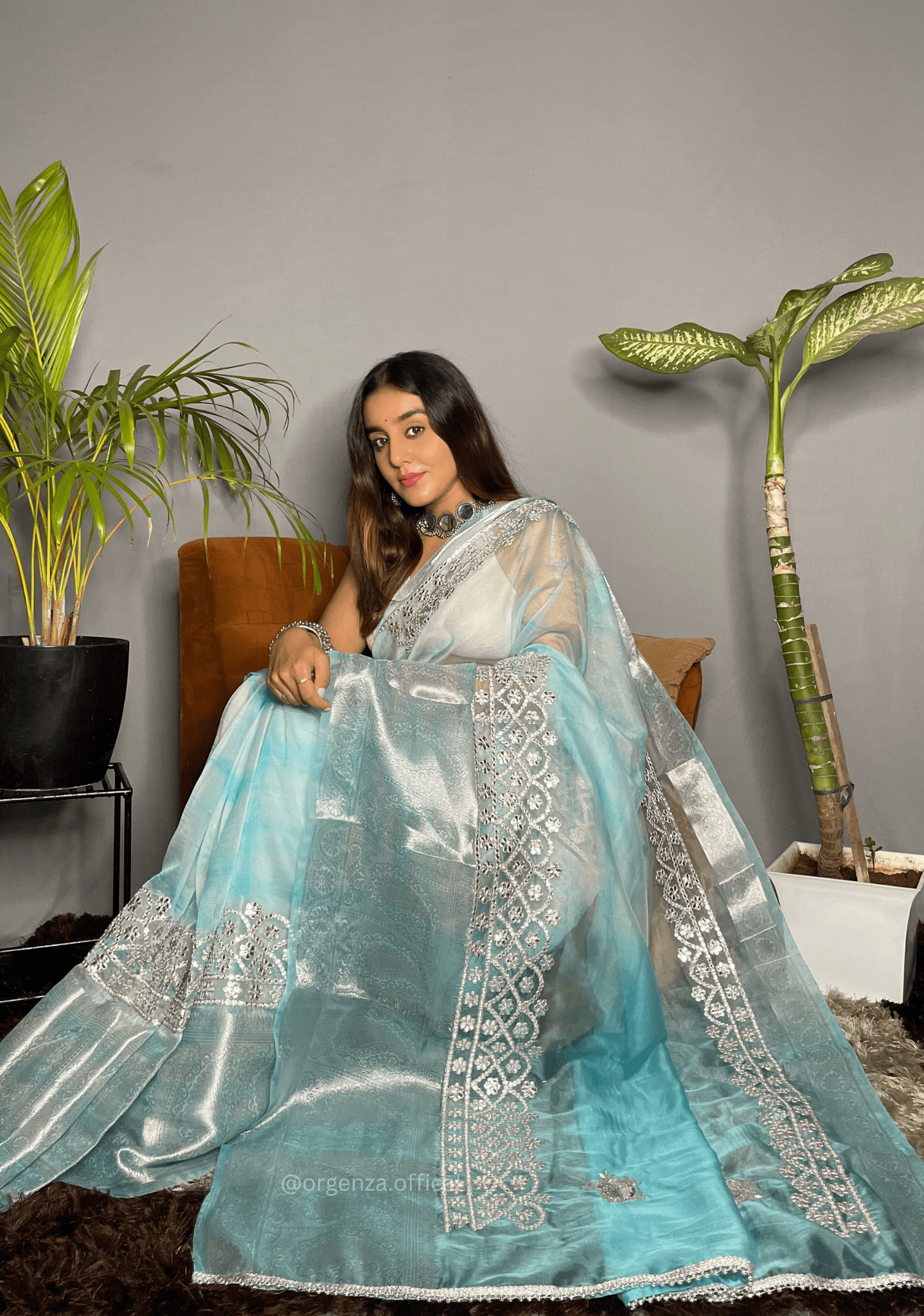 Organza Silk Saree With Weaving Border - Orgenza Store - digisoch