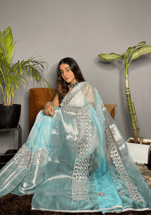 Organza Silk Saree With Weaving Border - Orgenza Store - digisoch