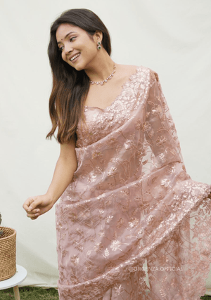 Soft Organza Saree With Sequence Work - Orgenza Store - digisoch