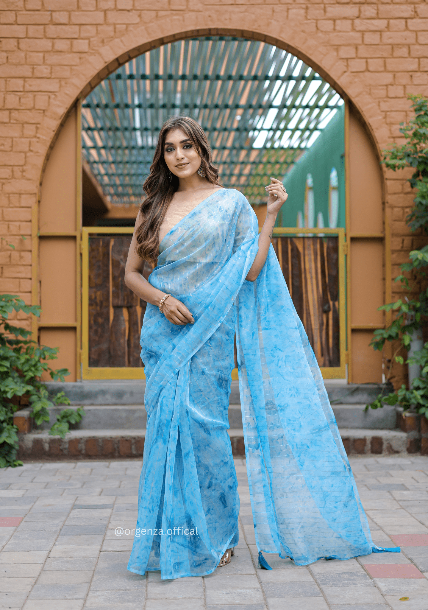 Organza Furr Saree With Sequence Lining - Orgenza Store - digisoch