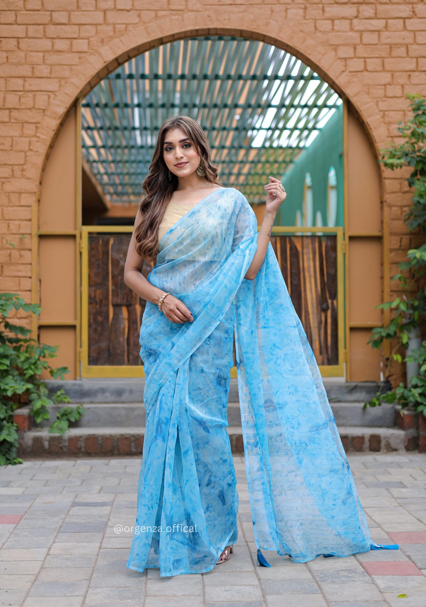 Organza Furr Saree With Sequence Lining - Orgenza Store