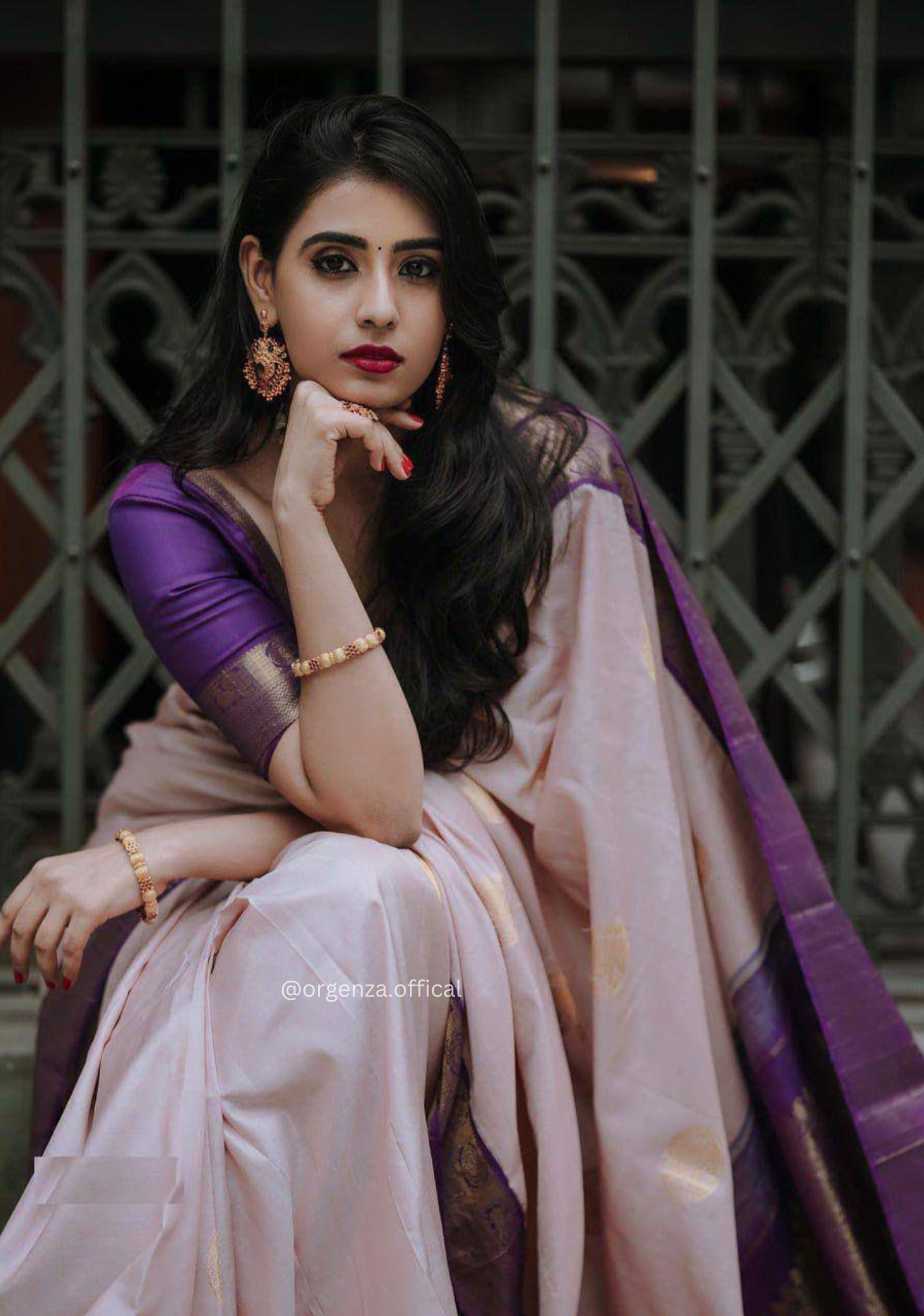 Rich Pallu Jacquard Zari Work