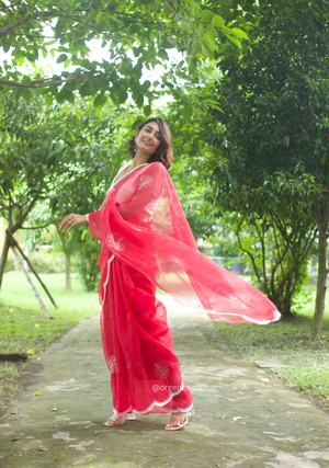 Red Colour Organza Saree With Hand Work - Orgenza Store - digisoch
