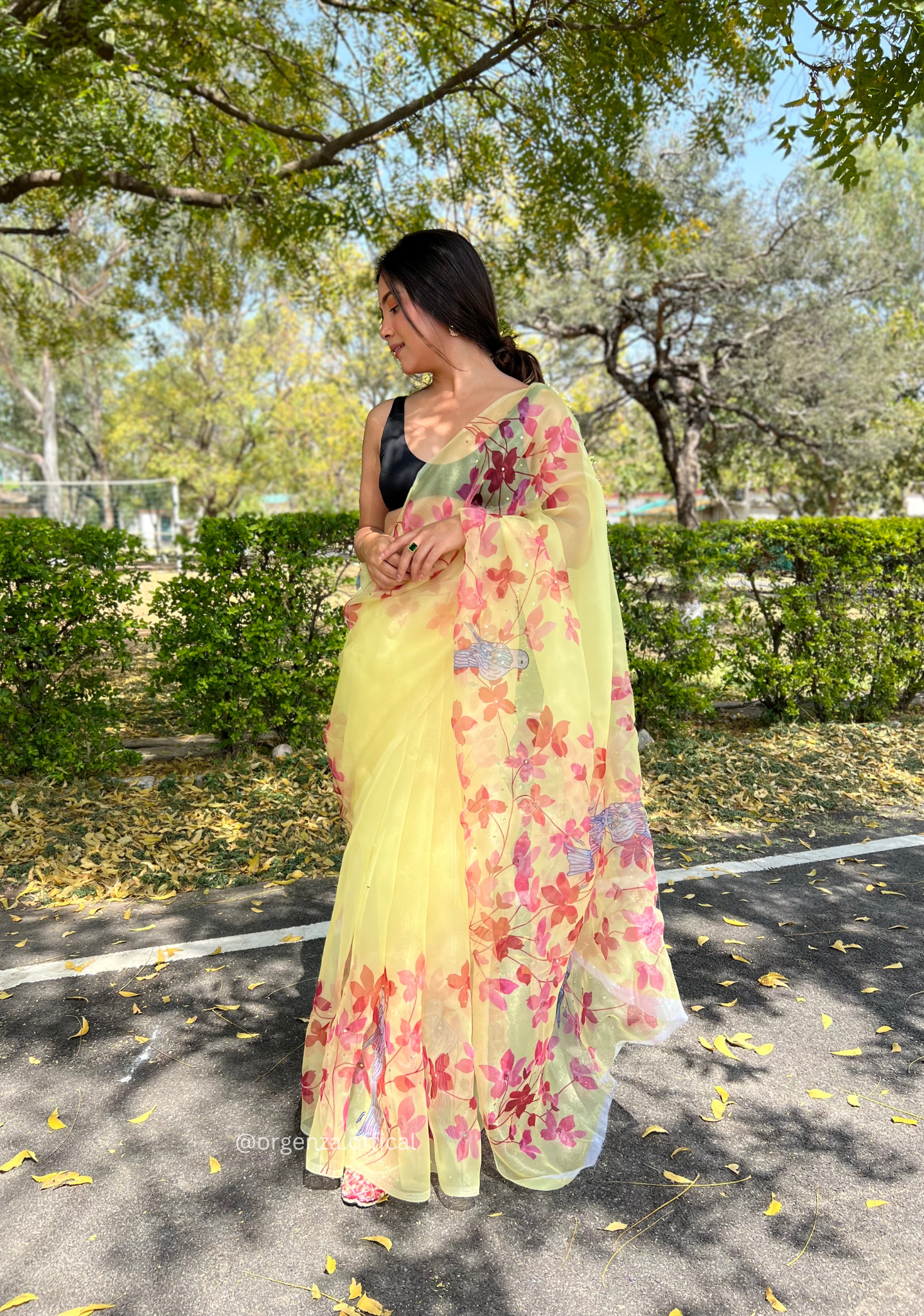 Yellow Digital Print Saree With Handwork - Orgenza Store