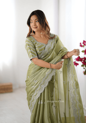 Soft jimmy Choo Silk Saree With Sequence Work - Orgenza Store - digisoch