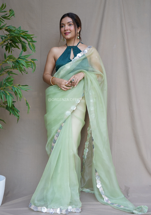 Pure Organza Saree With Fancy Lace Border - Orgenza Store
