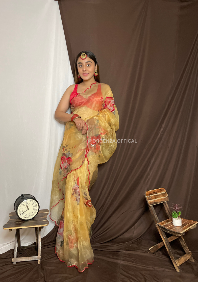 Organza Saree With Sequence Work And Printed Flower