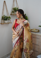 Multi Colour Organza Saree With Lucknowi Thread