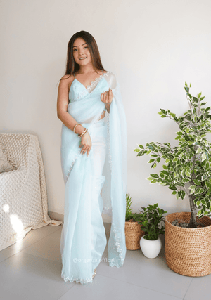 Sky Organza With Jardoshi And Khatli Work - Orgenza Store - digisoch