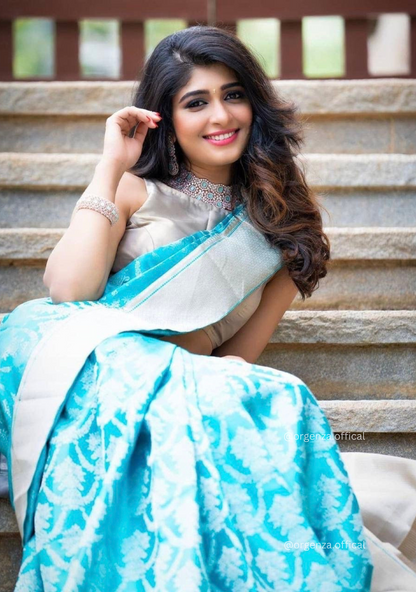 Soft Woven Silk Saree