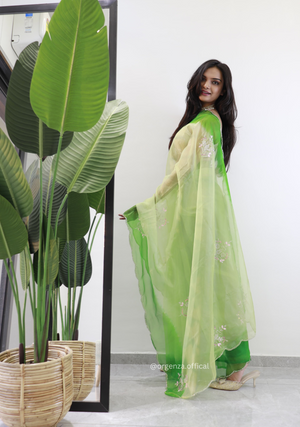 Green Colour Organza Silk Saree - Orgenza Store