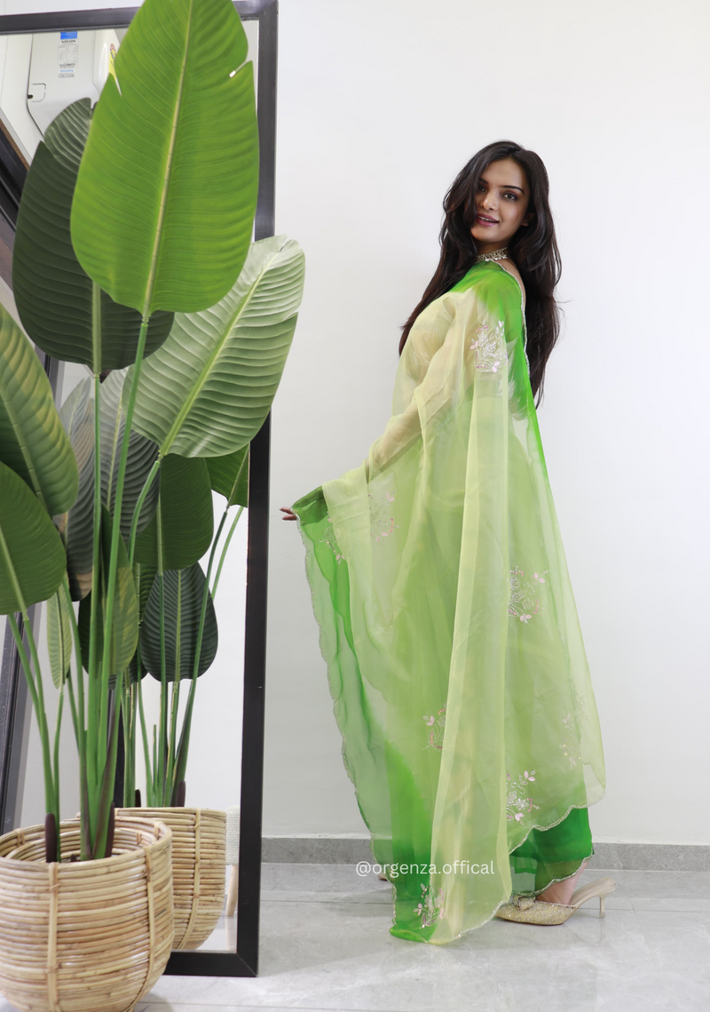 Green Colour Organza Silk Saree