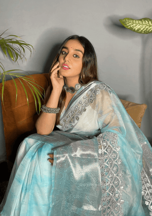 Organza Silk Saree With Weaving Border - Orgenza Store - digisoch