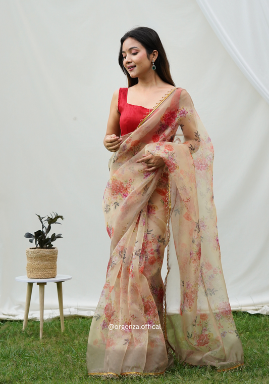 Pure Organza Saree With Heavy Lace Border - Orgenza Store