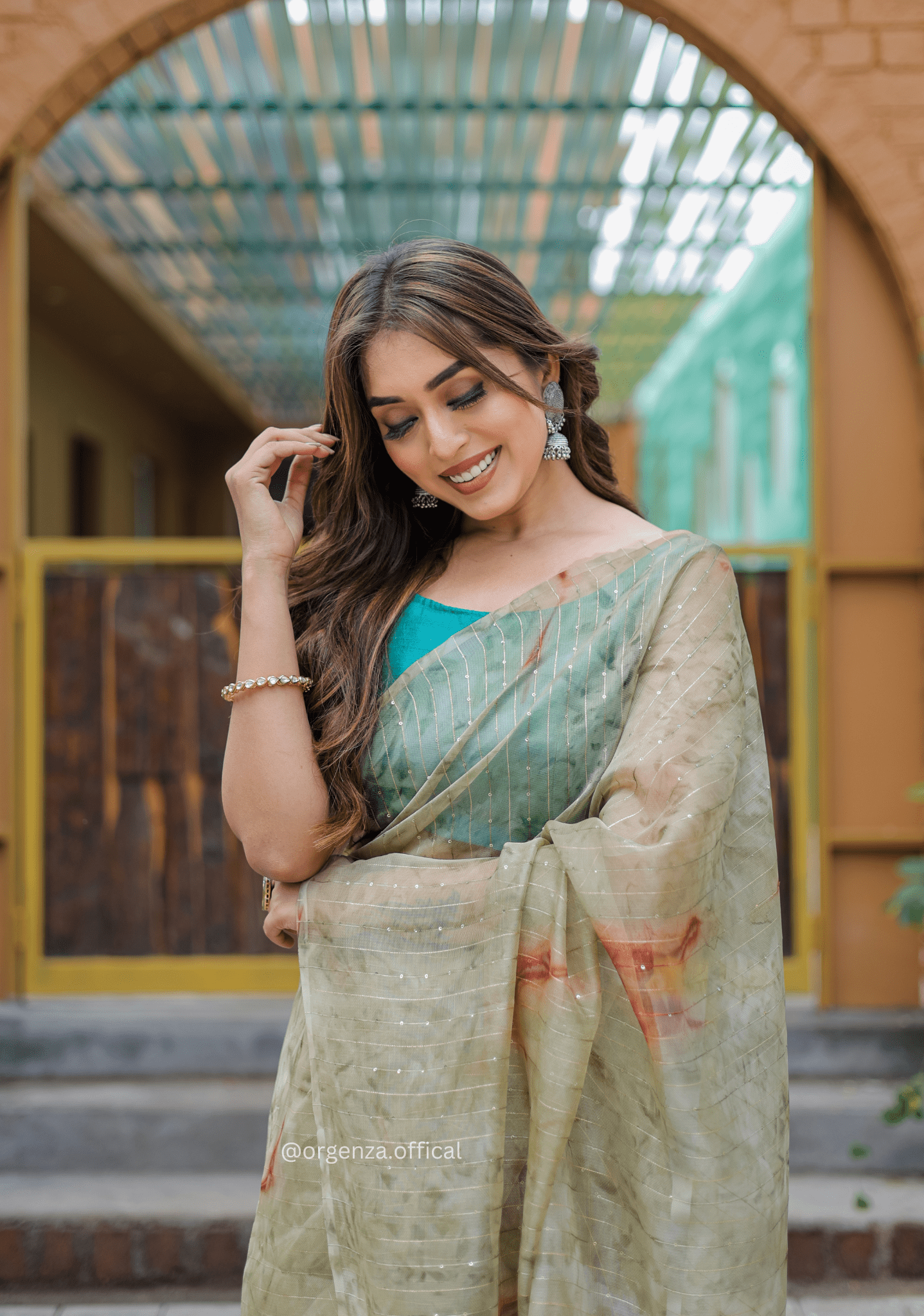 Organza Furr Saree With Sequence Lining - Orgenza Store - digisoch
